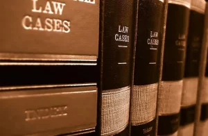 Just:Access - an new way to find case law